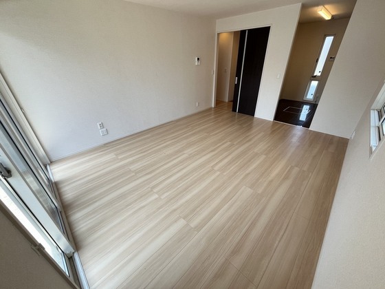 プランドール C C