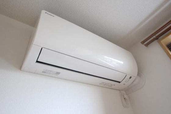 プティーシュシュ大福 北棟