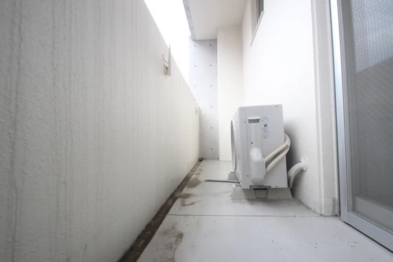 セントラルゲート聖