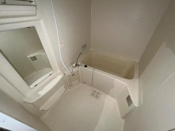 オータムめぐみⅡ