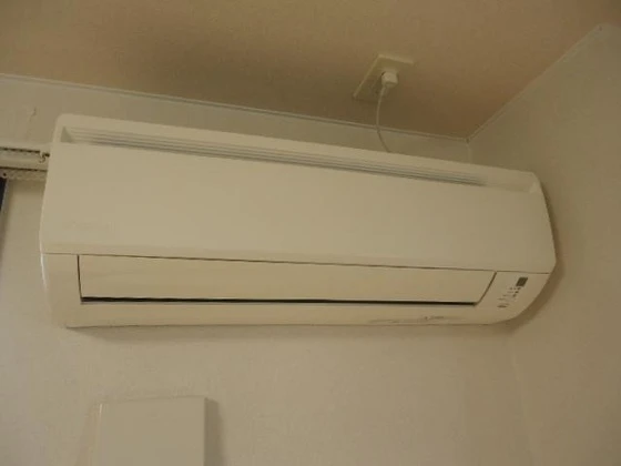 オータムめぐみⅡ