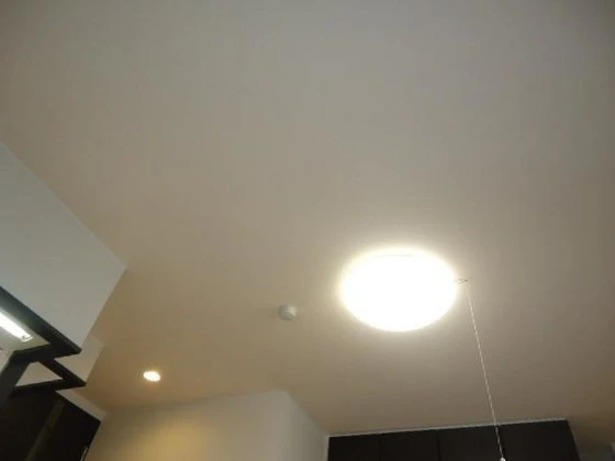 オータムめぐみⅡ