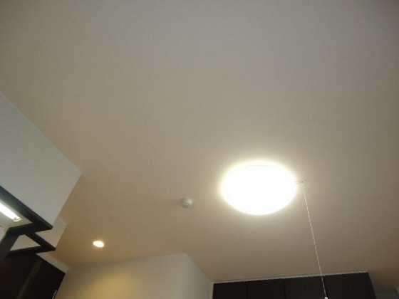 オータムめぐみⅡ