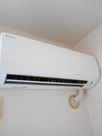 ニューシティMT