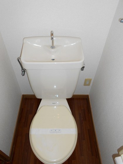 ニューシティMT