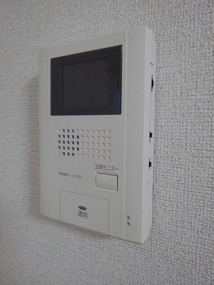 セントポーリア