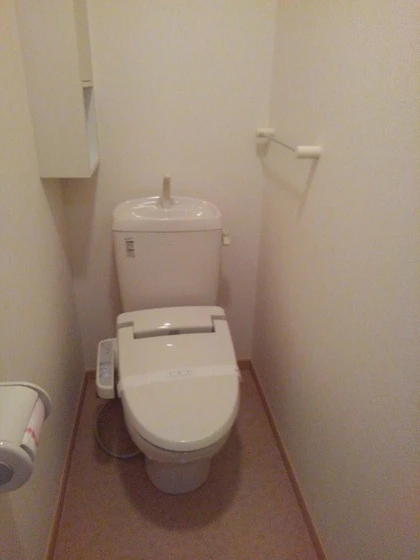 セントポーリア