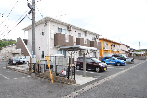 セントポーリア