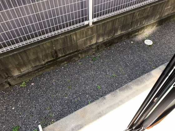 レオパレスシャルマン東雲