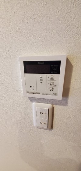 フェリーチェニシカワ