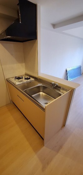 フェリーチェニシカワ