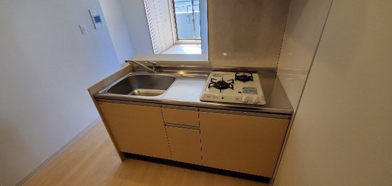 フェリーチェニシカワ