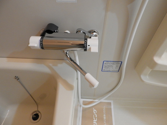 シルバーストン