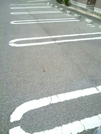 ネオ・サルビアⅠ