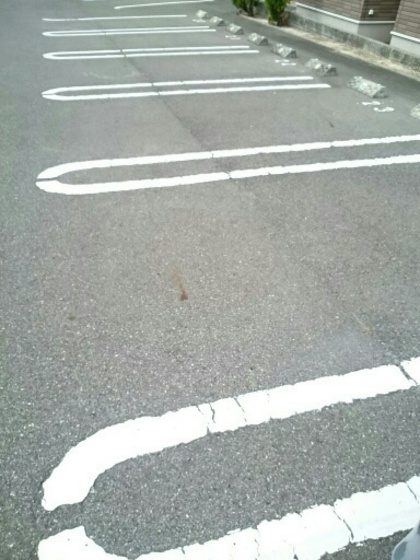 ネオ・サルビアⅠ