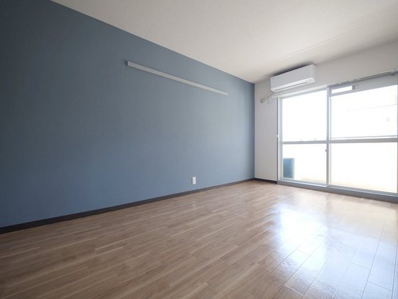 ミラドール今Ⅱ