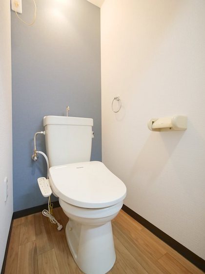 ミラドール今Ⅱ