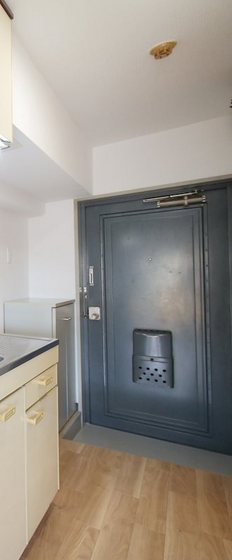 ミラドール今Ⅱ