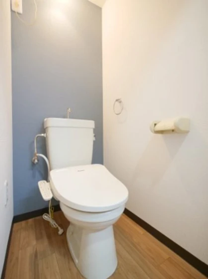 ミラドール今Ⅱ