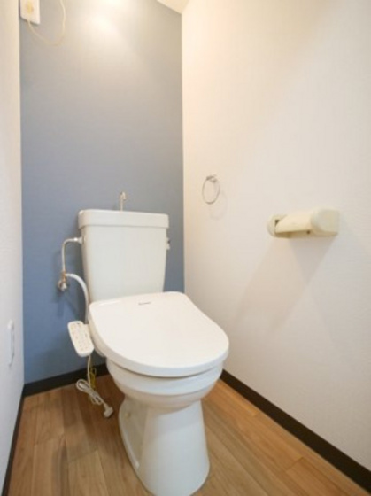 ミラドール今Ⅱ