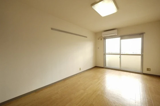 ミラドール今Ⅱ