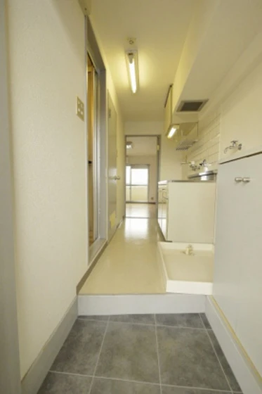 ミラドール今Ⅱ