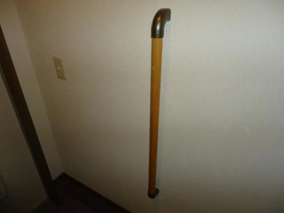 フレンディセキ