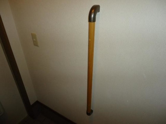 フレンディセキ