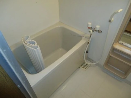 フレンディセキ