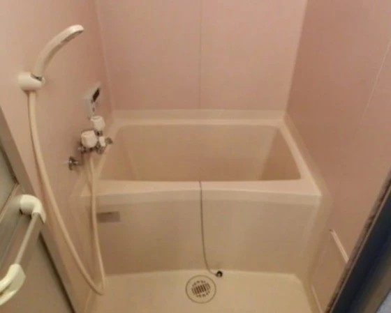 パステルみらい