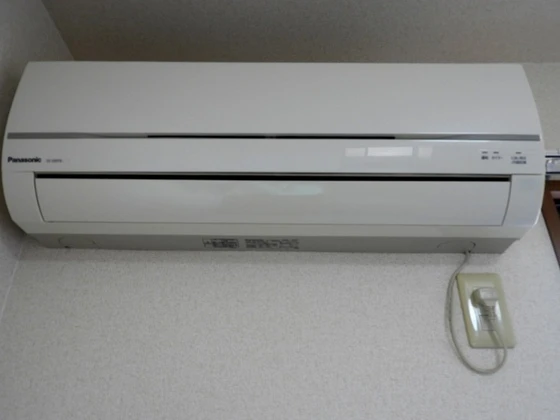 ウィルモア辰巳