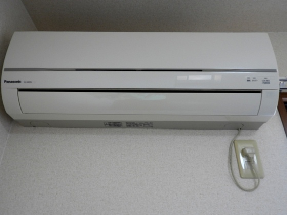 ウィルモア辰巳