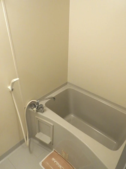 ウィルモア辰巳