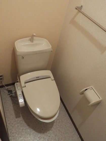 ウィルモア辰巳