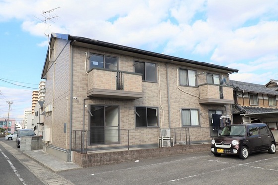 ウィルモア辰巳