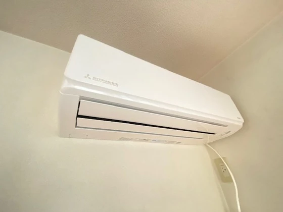 ディモーラ小島