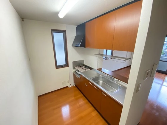 ディモーラ小島