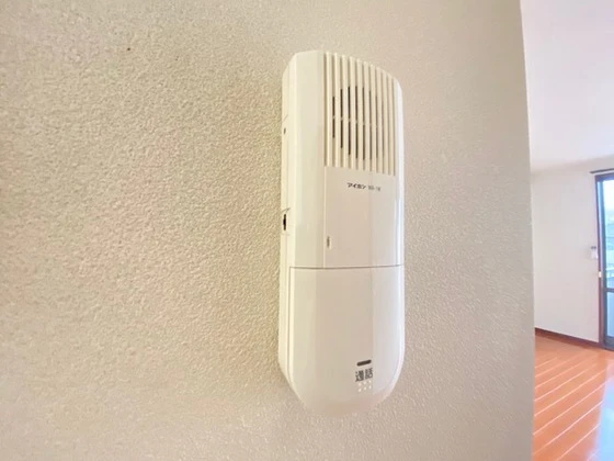 ディモーラ小島