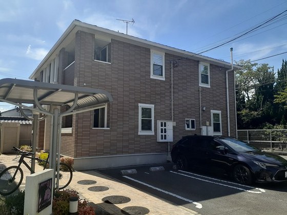 アニュー アメジスト