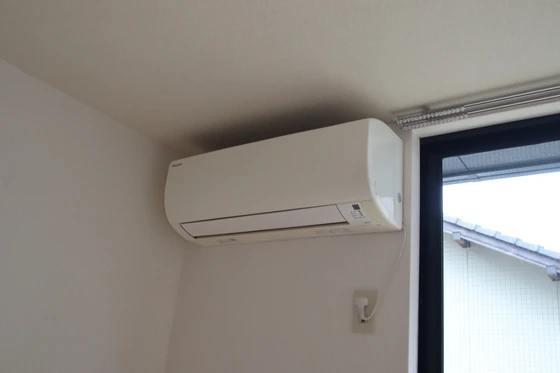 ブルーベリーパレス