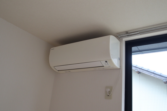 ブルーベリーパレス