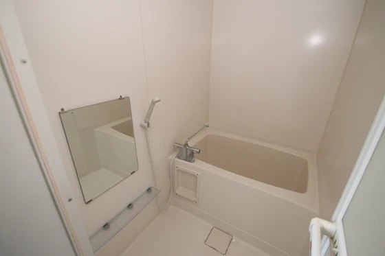 ブルーベリーパレス