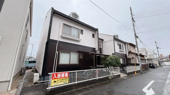 ハイデンス大守