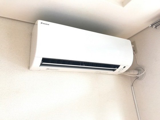 サンシャインマルゲン