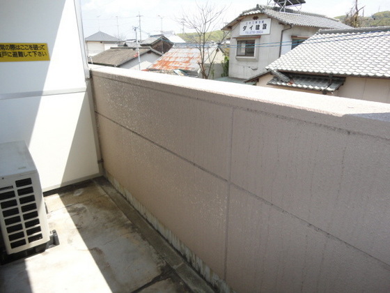 サンシャインマルゲン