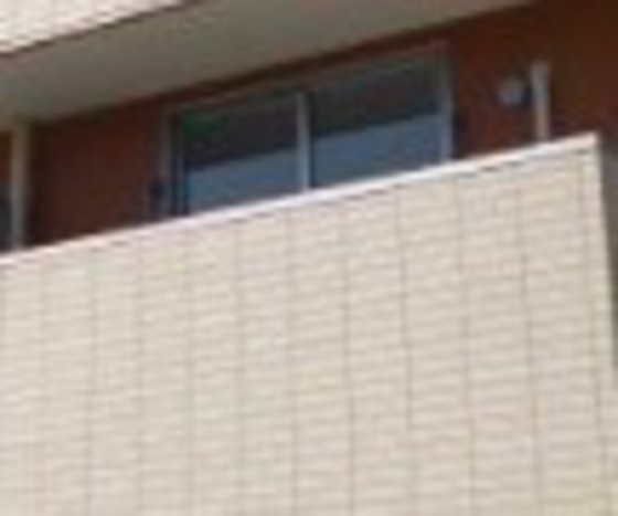 HILL COLLEGE DAIGAKUMAE