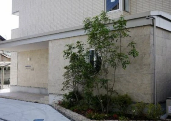 HILL COLLEGE DAIGAKUMAE