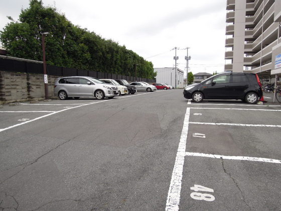 コニファープラザ新福