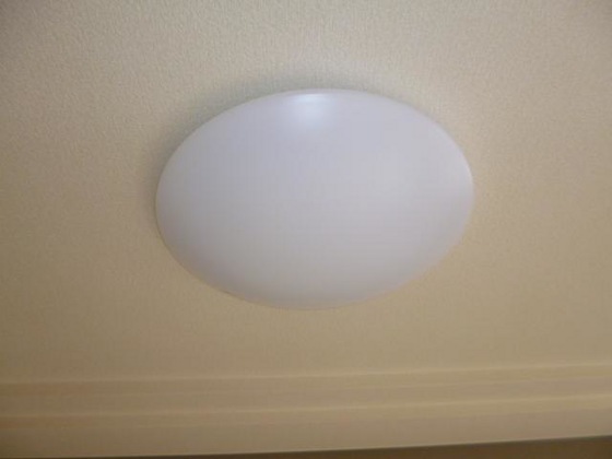 クオリティーⅡ