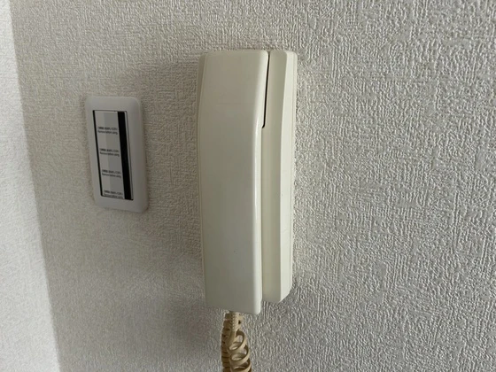 ルーテシア大野